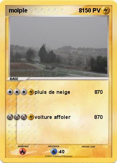 Pokemon molple                                8