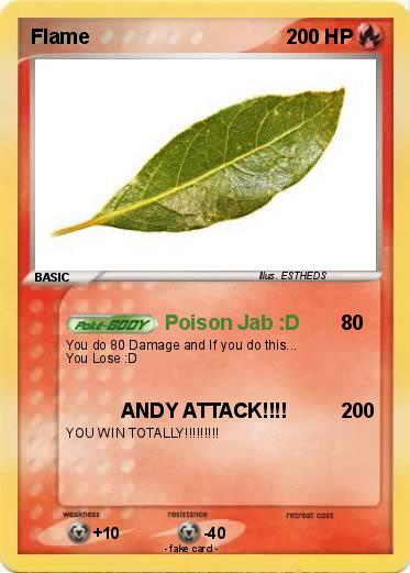 Pokemon Flame