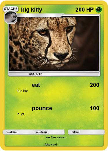 Pokemon big kitty
