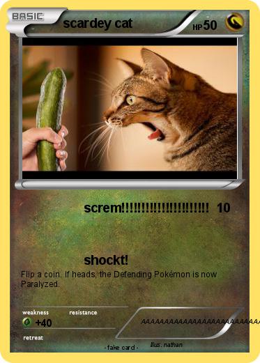 Pokemon scardey cat