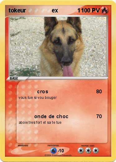 Pokemon tokeur                ex            1