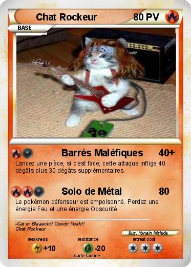 Pokemon Chat Rockeur
