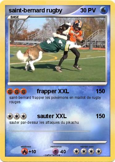 Pokemon saint-bernard rugby