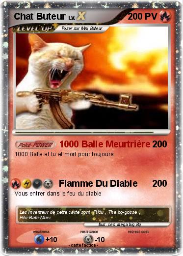 Pokemon Chat Buteur