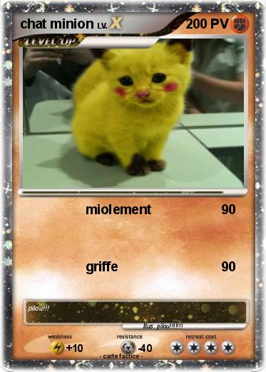 Pokemon chat minion
