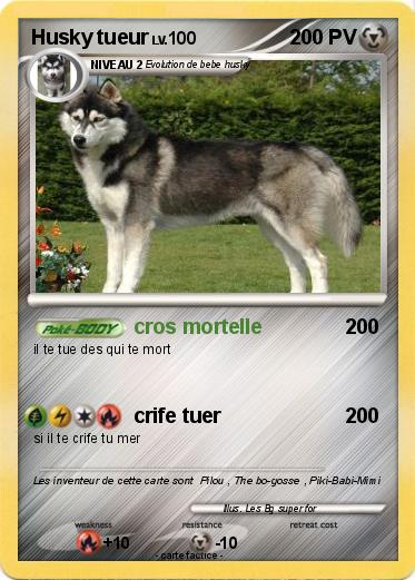 Pokemon Husky tueur