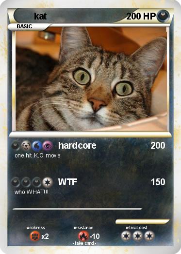 Pokemon kat