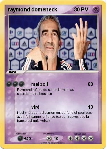 Pokemon raymond domeneck