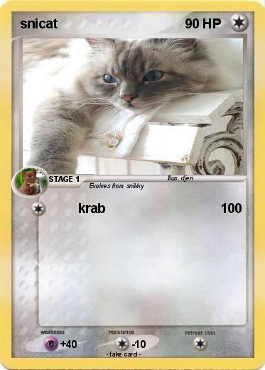 Pokemon snicat