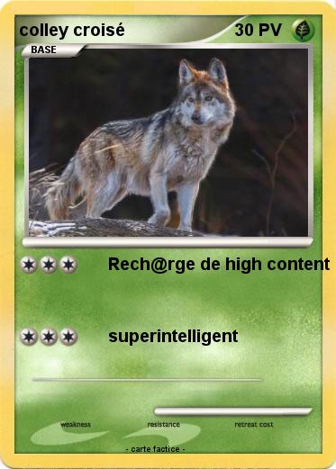 Pokemon colley croisé