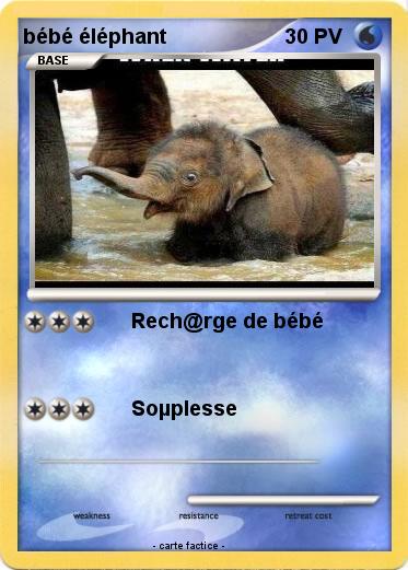Pokemon bébé éléphant