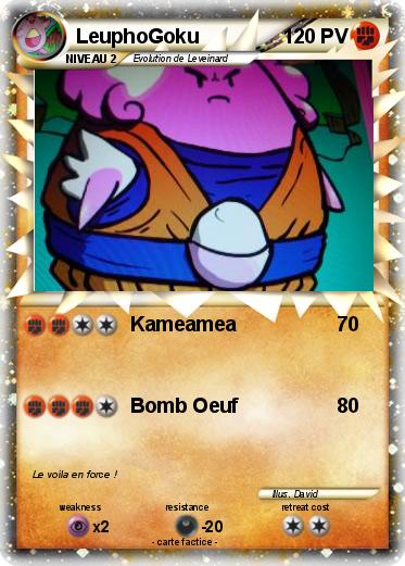 Pokemon LeuphoGoku