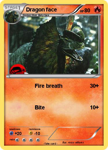 Pokemon Dragon face