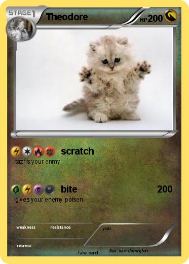 Pokemon Theodore