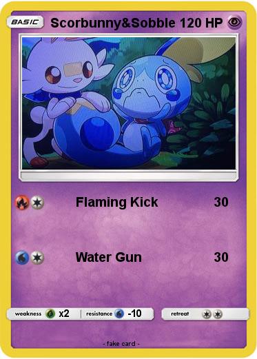 Pokemon Scorbunny&Sobble