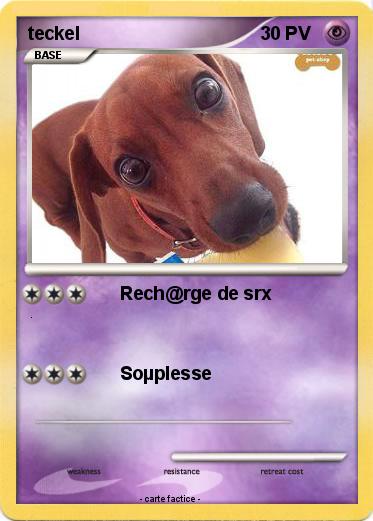 Pokemon teckel