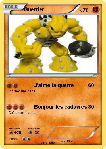 Pokemon Guerrier