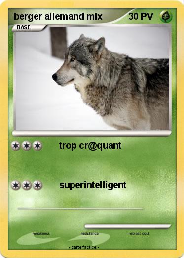 Pokemon berger allemand mix