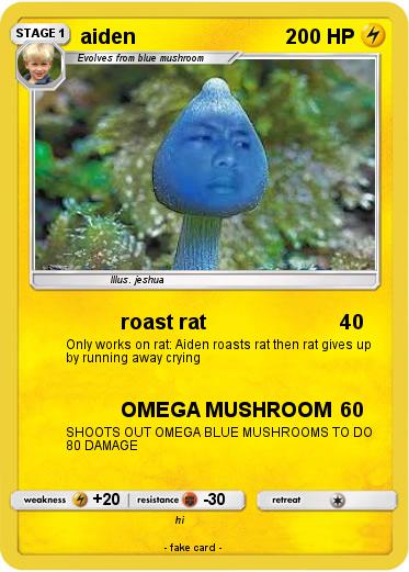 Pokemon aiden