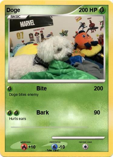 Pokemon Doge