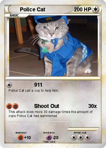 Pokemon Police Cat
