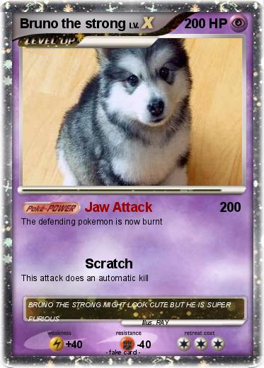 Pokemon Bruno the strong