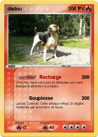 Pokemon dadou