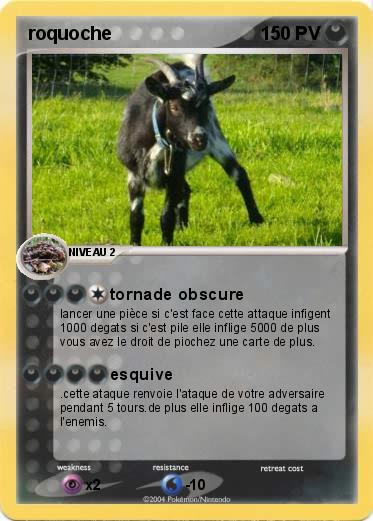 Pokemon roquoche