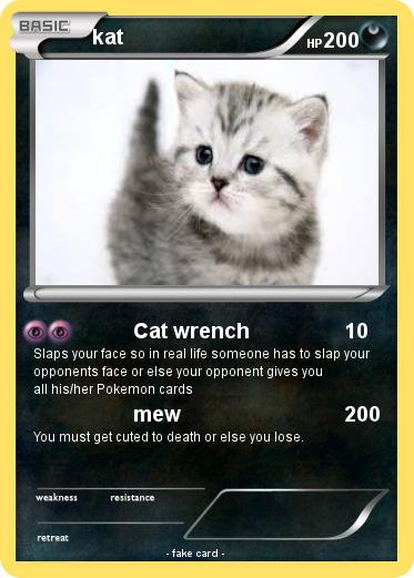 Pokemon kat