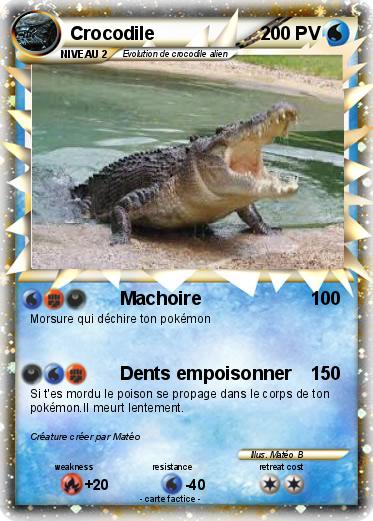 Pokemon Crocodile