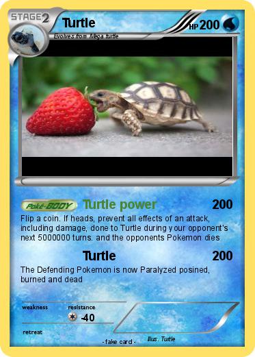 Pokemon Turtle