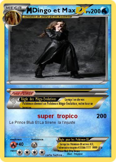 Pokemon Dingo et Max