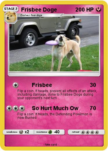 Pokemon Frisbee Doge