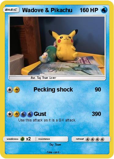 Pokemon Wadove & Pikachu