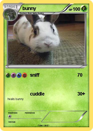 Pokemon bunny