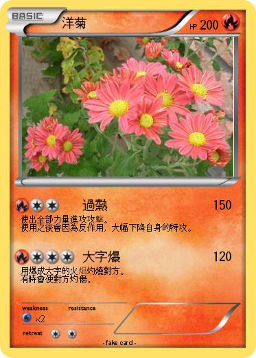 Pokemon 洋菊