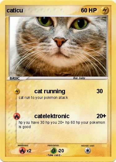 Pokemon caticu