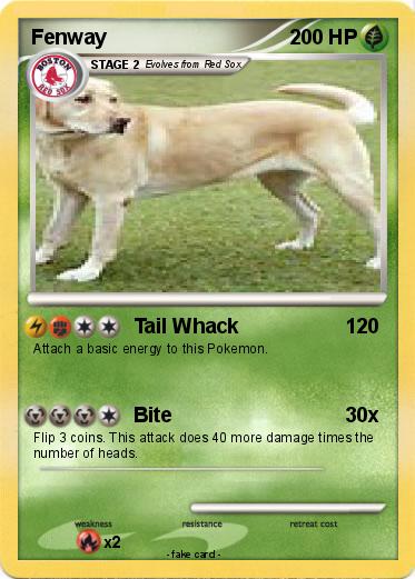 Pokemon Fenway