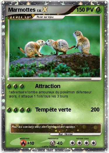 Pokemon Marmottes