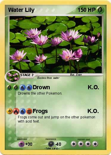 Pokemon Water Lily