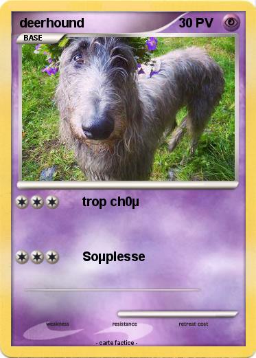 Pokemon deerhound