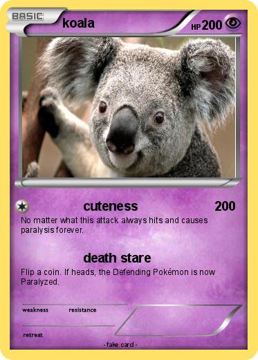 Pokemon koala