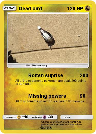Pokemon Dead bird