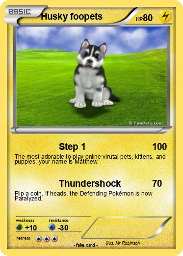 Pokemon Husky foopets