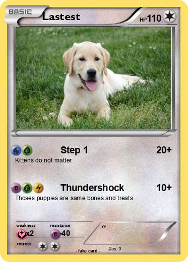 Pokemon Lastest
