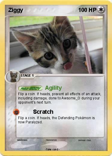 Pokemon Ziggy