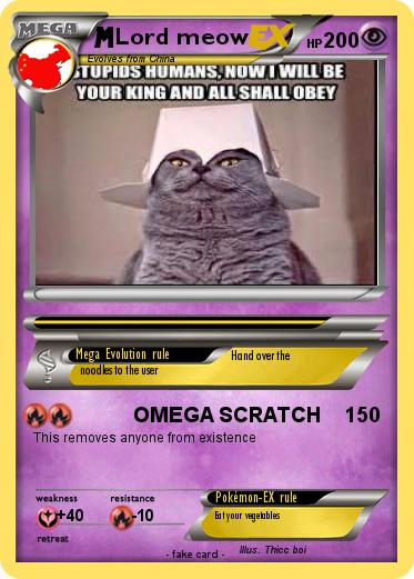 Pokemon Lord meow