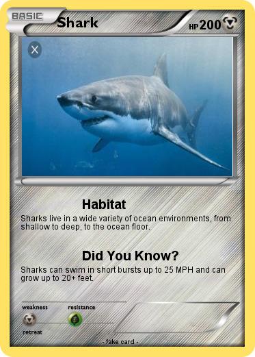Pokemon Shark