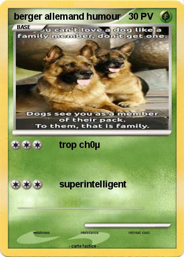 Pokemon berger allemand humour