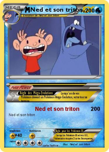 Pokemon Ned et son triton
